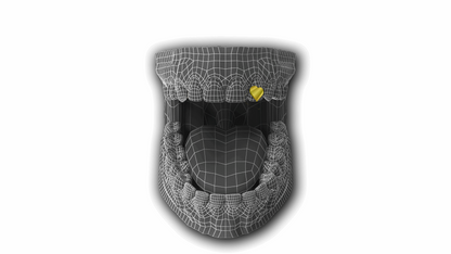 <3  I  Single Icon`z`Grillz