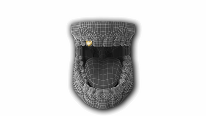 <3  I  Single Icon`z`Grillz
